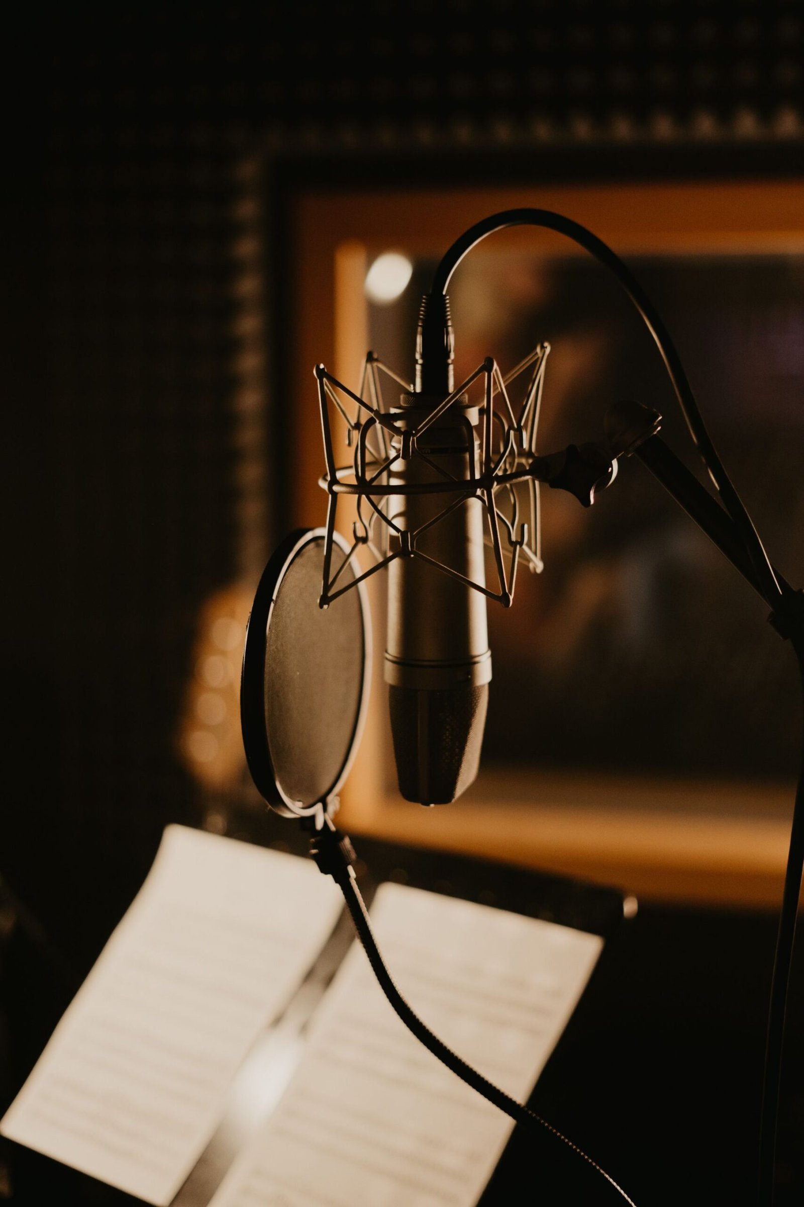 Close-up of a microphone and pop filter in a dimly lit recording studio.