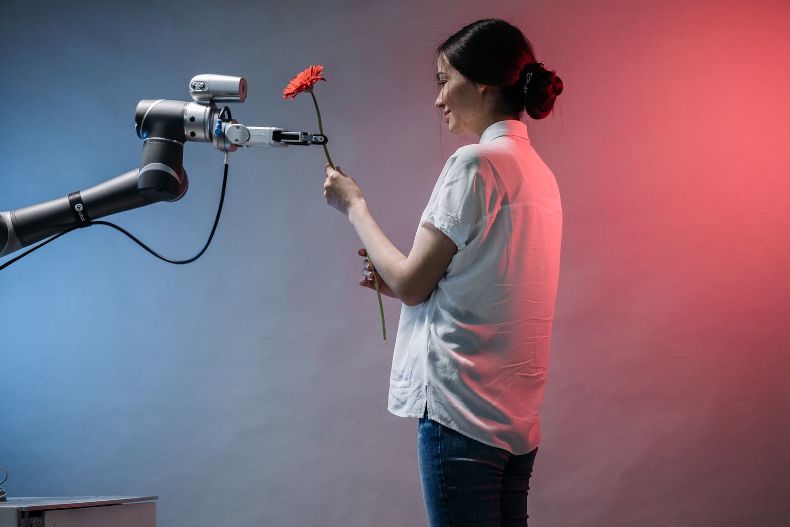 A robotic arm offering a red flower to a woman.