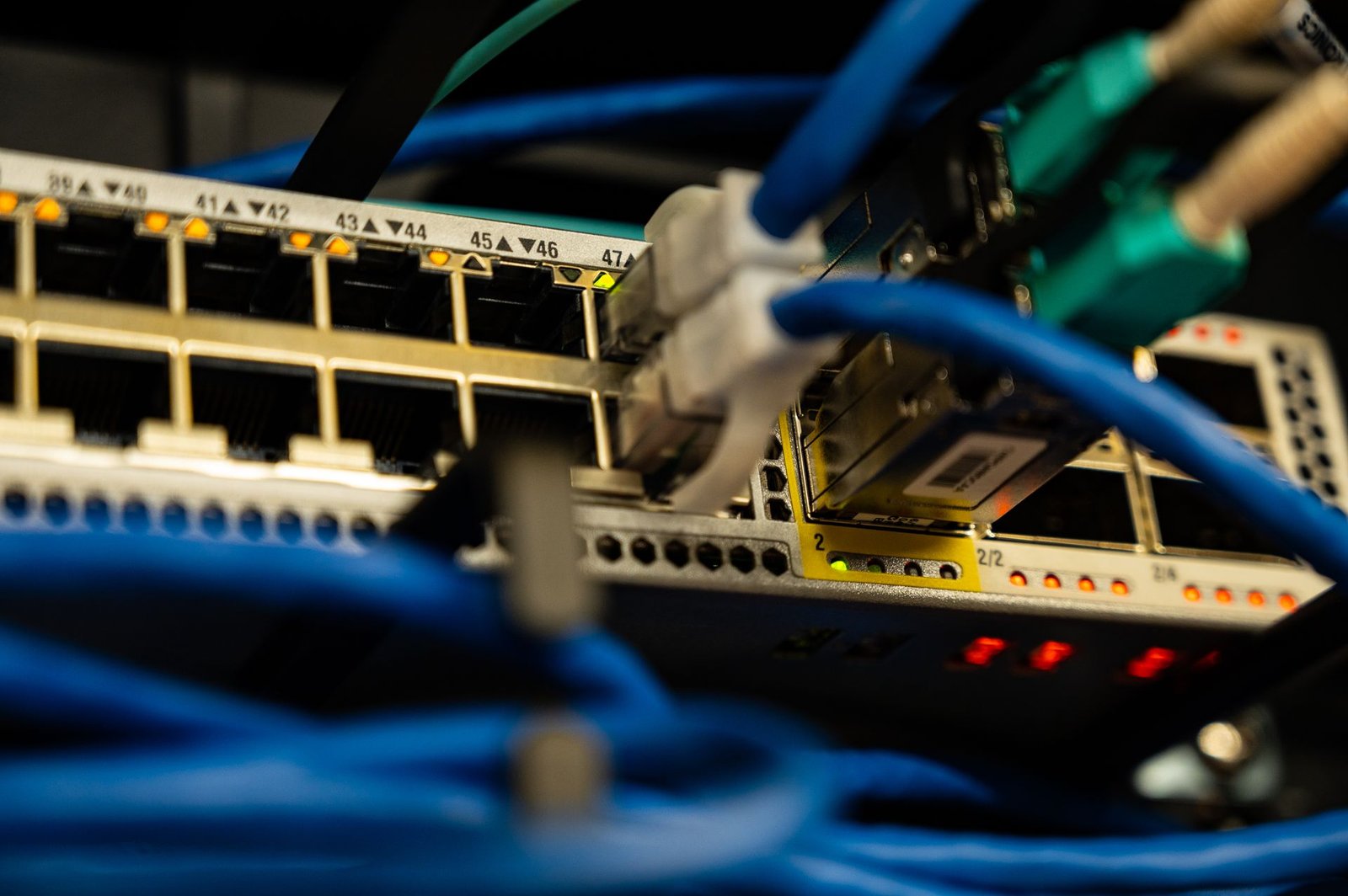 Ethernet cables plugged into a network switch.