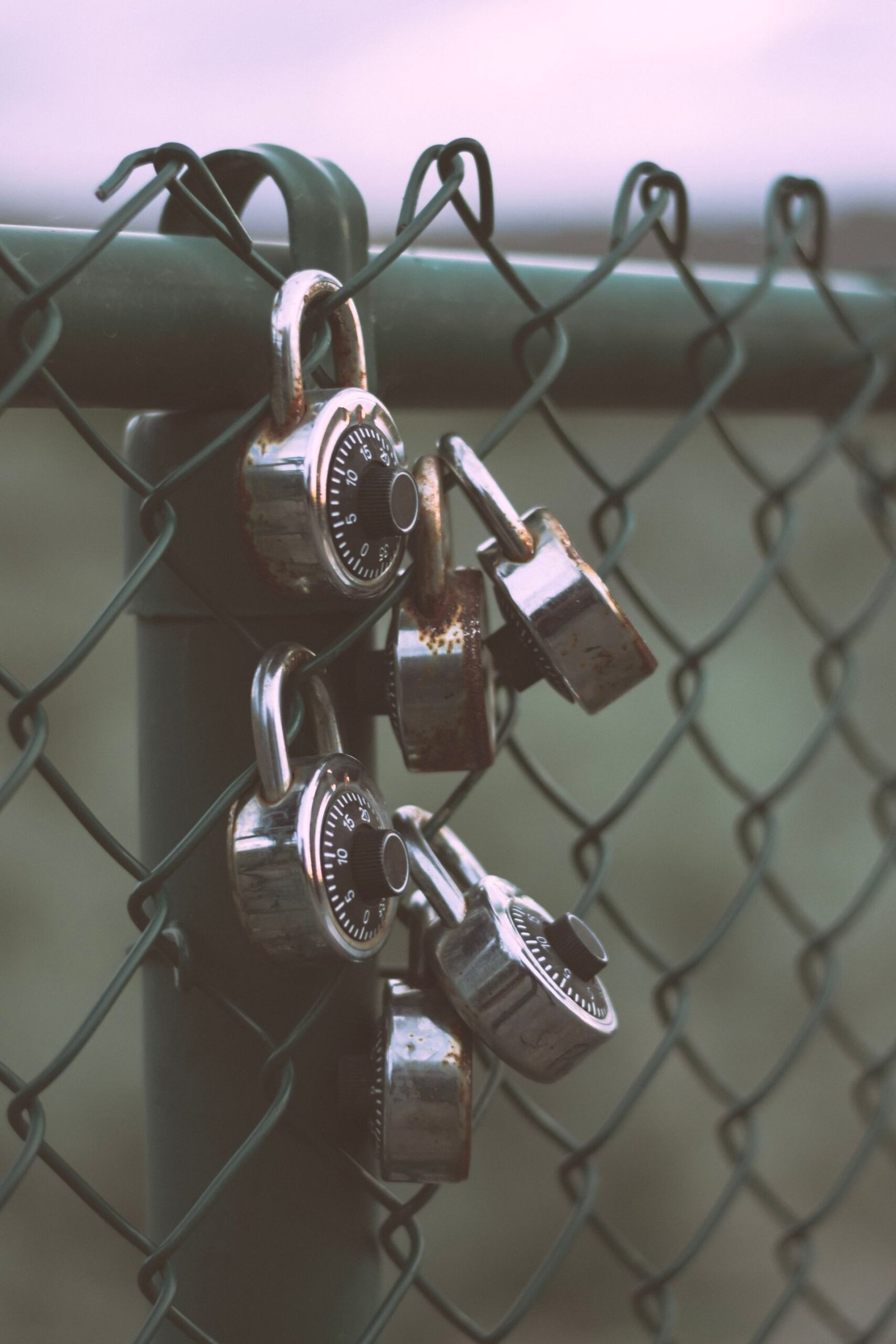 Silver padlocks fastened to a steel fence, symbolizing layered digital security.